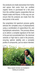 Ashwagandha em Pó de Dupla Extração